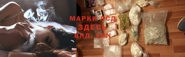 СК Аркадак