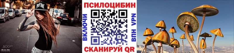 Галлюциногенные грибы Psilocybe  купить наркотики цена  Кировск 