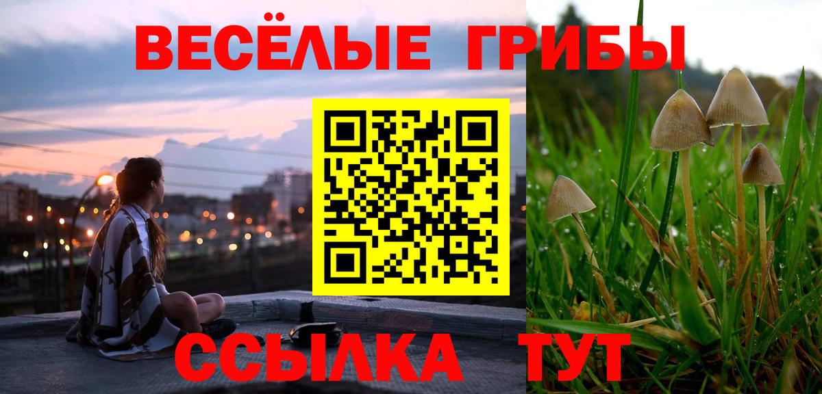 Галлюциногенные грибы MAGIC MUSHROOMS Кировск