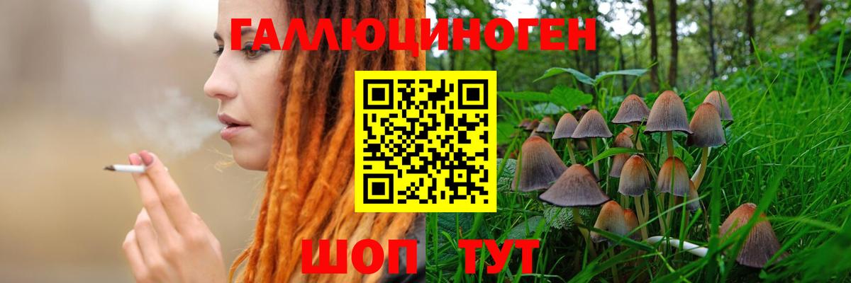 где продают наркотики  Псилоцибиновые грибы мухоморы  Вход с VPN  Кировск 