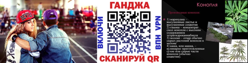 Конопля сатива  где купить наркоту  Кировск 